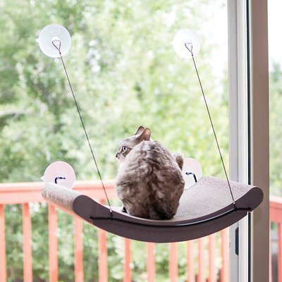 EZ mount window scratch pad for cat